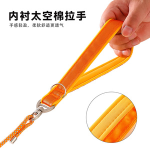 Correa para perros P-chain/P-rope para pasear perros pequeños, medianos y grandes, perros de entrenamiento, a prueba de explosiones, para mascotas Golden Retriever - Product Image 3