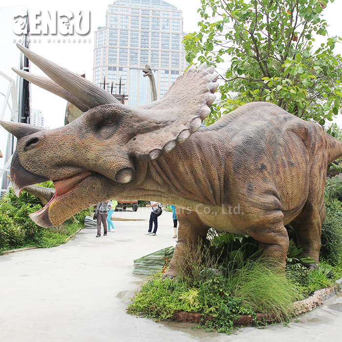 Triceratops