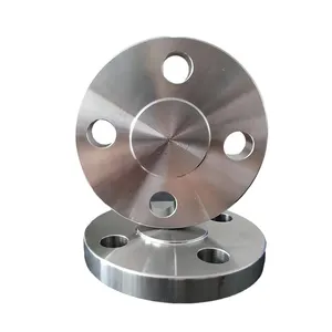 Factory Direct Sale Customized Forged Stainless Steel 304/316L Blind Flange Plate