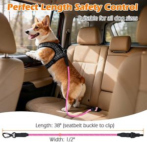 Cinturón de Seguridad para Perros de Doble Hebilla, de Lujo, con Logotipo Personalizado, Correa de Nailon Resistente, Arnés para <span class=keywords><strong>Coche</strong></span>, Correa de Seguridad para Mascotas - Product Image 5