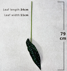 اصل جديد النباتات الخضراء الصناعية أوراق الأكاسيا الجذعية الواحدة أوراق البغونية أوراق الكالاديوم - Product Image 4