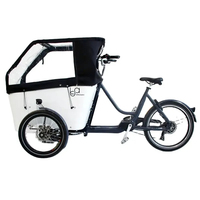 Vélo électrique à chargement frontal, entrepôt UE, normes européennes, vélo cargo électrique pour la famille, tricycle cargo en alliage d'aluminium