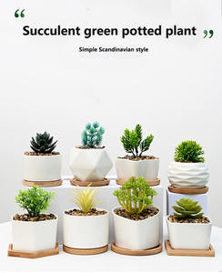 K & B <span class=keywords><strong>vendita</strong></span> calda poligono ceramica oro-spruzzato giardino decorativo vaso di fiori di alta qualità <span class=keywords><strong>per</strong></span> la decorazione esterna - Product Image 2