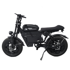 Vélo électrique 20 pouces en acier au carbone avec batterie au lithium fer phosphate, assistance au pédalage électronique sans balais, 7 vitesses, moyeu arrière 48V double - Product Image 1