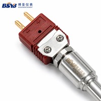 Thermocouple de type C W-Re pour l'industrie du verre céramique