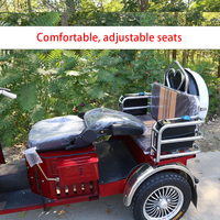 Tricycle de Mobilité pour Personnes Âgées et Handicapées, 125cc, Frein à Disque, Capot Personnalisé, Vente Directe Usine