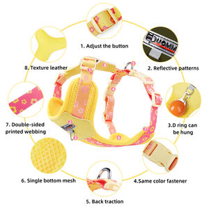 Harnais pour <span class=keywords><strong>chien</strong></span> au design moderne, confortable, durable et respirant, pour promener les chiens, empêcher les évasements, harnais pour animaux de compagnie pour chiens de petite et moyenne taille - Product Image 4