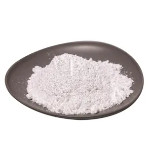 Chinese golden supplier N-Acetylneuraminic acid 131-48-6 LACTAMINIC ACID 131-48-6