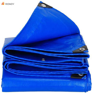 Bâche <span class=keywords><strong>imperméable</strong></span> pour couverture <span class=keywords><strong>de</strong></span> tente <span class=keywords><strong>de</strong></span> mariage, <span class=keywords><strong>toile</strong></span> <span class=keywords><strong>de</strong></span> haute qualité en PE, tissu extérieur, autre tissu tissé uni <span class=keywords><strong>imperméable</strong></span>, bâche RONDY - Product Image 3