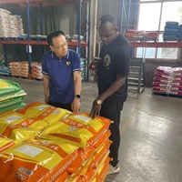 Qianbaisheng Probiotiques pour le soulagement du stress thermique chez les poulets de chair : Croissance rapide et prise de poids pour les fermes africaines