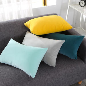 <span class=keywords><strong>Housse</strong></span> <span class=keywords><strong>de</strong></span> coussin carrée en velours, taie d'oreiller douce <span class=keywords><strong>de</strong></span> couleur unie, personnalisée, pour salle, vente en gros, nouvelle collection - Product Image 3