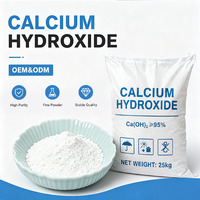 Vente en gros usine : Poudre d'hydroxyde de calcium 250 mesh, haute pureté, pour le traitement des eaux usées, chaux hydratée