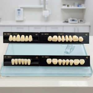 <span class=keywords><strong>CAIYU</strong></span> - Juego Completo de Dientes de Resina Acrílica Dental con Fuente de Alimentación Manual, Dentaduras Postizas, Dientes Artificiales, Certificación CE Clase I - Product Image 4
