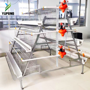 Cage à poulets de type A <span class=keywords><strong>pour</strong></span> 5000 oiseaux, avec système d'abreuvement entièrement automatique, <span class=keywords><strong>pour</strong></span> élevage avicole en Tanzanie - Product Image 2