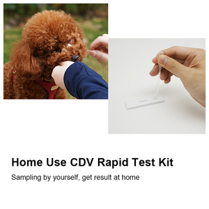 Kit De Teste De Parvovírus Canino Para Diagnóstico De Cães CPV-CCV-GIA-CRV Antigen Test Kits Para Animais De Estimação - Product Image 4
