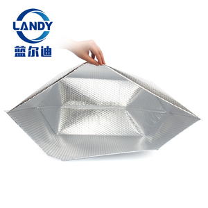 Eco friendly bio fresco isolati box termico fodere 8x5 8x8 per cibi congelati 48 hr - Product Image 2