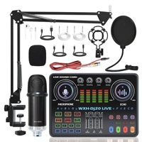 Mikrofon Kondenser Profesional BM900 48V Nirkabel Peredam Kebisingan Dual Streaming Audio Mixer Live Streaming Gaming 20kHz
