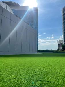 Césped artificial para exteriores de alta calidad, bajo precio, alfombra de césped interior para jardín, césped artificial de paisaje barato - Product Image 5