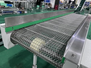Bifa Ss304 Stainless Steel Metal Wire Mesh Cinta Transportadora De Malla Motorized <strong>Belt</strong> <strong>Conveyors</strong> System - Product Image 3