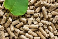 Granulés de bois de pin 6 mm, briquettes, combustible naturel, teneur en cendres 2,5 %, calories 4600 J, densité 650, humidité 8 %, pour cuisinière.