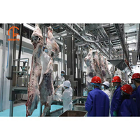 Machine à découper la viande de bovins et de moutons casher avec moteur haute efficacité pour boucherie et abattoir