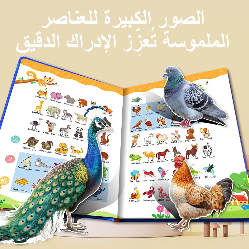 rechargeable bilingual audio book
