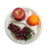 10 pouces 3 Compartiments Jetables Sans Arbre Plaques 100% Naturel de Canne À Sucre Biodégradable