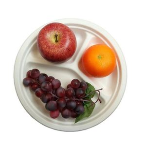 10 pouces <span class=keywords><strong>3</strong></span> <span class=keywords><strong>Compartiments</strong></span> Jetables Sans Arbre Plaques 100% Naturel de Canne À Sucre Biodégradable - Product Image 5