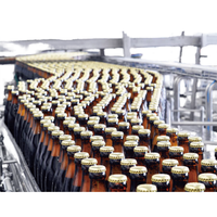 Ligne de production de boissons gazeuses entièrement automatique clé en main pour bouteilles en verre, usine d'embouteillage de bière