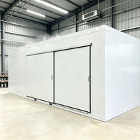 Instalación de Congelador Automático para Exteriores Copeland Emerson con Precio Competitivo para Almacenamiento de Vegetales Congelados