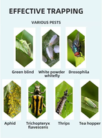 Pièges à insectes collants jaunes double face pour le contrôle des mouches, écologiques et jetables
