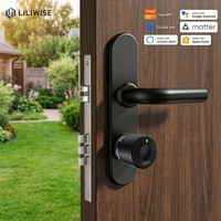 Serrures de porte électroniques intelligentes Liliwise OEM ODM, cylindre à profil européen, serrure intelligente adaptable avec contrôle d'accès