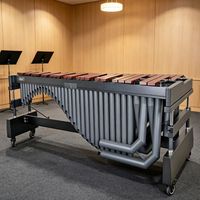 Artist Series Professional Marimba 5 Octaves with Perfect Sound Quality for Symphony