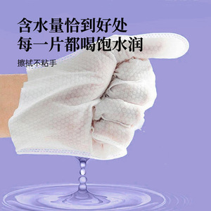 Toallitas de baño para personas mayores postradas en cama - toallitas de baño sin agua, toallitas desodorantes y eliminadoras de olores para exteriores - Product Image 2