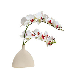 9 Cabezas de Flores de Phalaenopsis Impresas en 3D, Simulación de Flores para Decoración del Hogar, Sala de Estar, Boda, Flor Artificial, Planta al por Mayor - Product Image 5