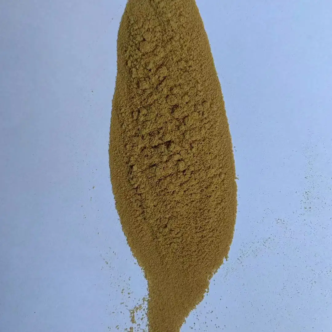 Extrait de champignon Reishi en poudre 10:1, approvisionnement d'usine à bas prix