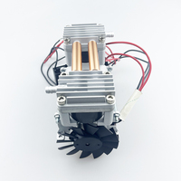Équipement de santé médicale PF-8501PM Double compresseur d'air sans huile-85kpa 30lpm DC12V/24V pompe à Piston en fer en acier inoxydable alimentaire