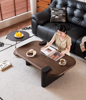 Table basse ovale minimaliste haut de gamme, table d'appoint premium pour petit appartement, idéale pour le salon et la maison