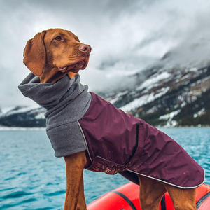 Çin Online Pazarlarında Kadınlar İçin Kışlık Su Geçirmez Köpek Montu, Köpek Giysileri Aksesuarları, Polyesterden Yapılmış Evcil Hayvan Giysisi - Product Image 2