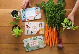 Veggie Patch Country Starter Kit Square Multi-Pack Juego de plantas para jardín Incluye lechuga Sandía <span class=keywords><strong>Remolacha</strong></span> Uso del piso colgante - Product Image 2