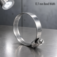 Collier de serrage à vis sans fin en acier inoxydable 304 de 12,7 mm sur mesure, conforme IATF 16949, assemblage OEM, collier de serrage métallique réglable pour tuyaux