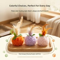 Jouet interactif pour chat en peluche et plumes, forme kaki, pour chaton, à mâcher, anti-ennui, 3 couleurs, 6,5g, fournitures