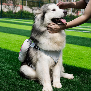 Mochila Plegable para Mascotas, Ecológica, de Tela de Poliéster, para Exteriores, con Botella de Agua y Comida para Perros, Chaleco Antiexplosiones con Correa - Product Image 2