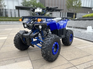 <span class=keywords><strong>Cuatrimoto</strong></span> Automática Competitiva de 125cc Todoterreno con Personalización de Color - Product Image 4