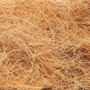 Vente en gros de fibre de coco utilisée pour produire des tapis - Product Image 1