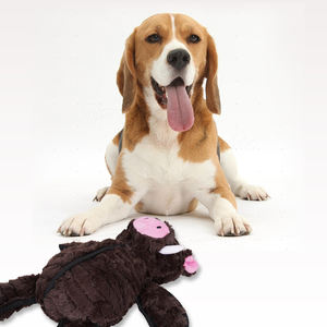 ของเล่นตุ๊กตาผ้าพีวีสำหรับสุนัขมีเสียงดังรูปหมีน่ารัก - Product Image 4