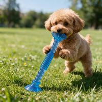 Jouet de tirage pour chien à double ventouse, bâton à mâcher durable en TPR transparent, jouet interactif autonome pour le nettoyage des dents des chiens