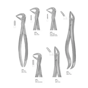 Dental Extension Forceps Fig,74 M 1073