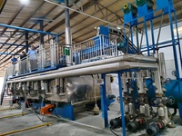 Usine de fabrication de graisse et de suif de 10 tonnes en acier inoxydable pour abattoirs, équipement de fusion de graisse pour bovins, porcins, ovins et volailles
