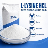 Complément alimentaire de qualité alimentaire pour augmenter la teneur en protéines, CAS 60343-69-3, L-Lysine de qualité alimentaire en gros, pureté 99%
